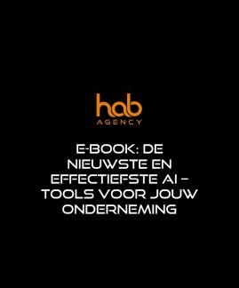 Omslag-AI Tools overzicht businesses